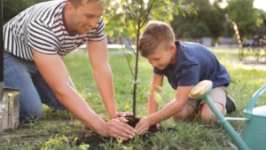 Get two free trees from Oncor 