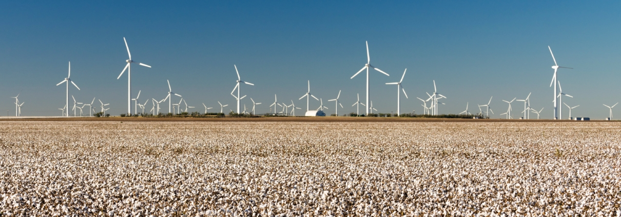 texas wind power