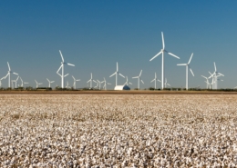 texas wind power