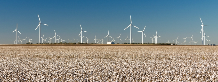 texas wind power