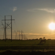 Predictions on Texas Electricity in the year 2020