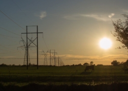 Predictions on Texas Electricity in the year 2020