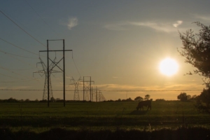 Predictions on Texas Electricity in the year 2020