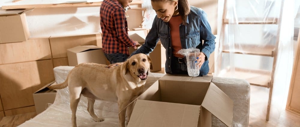 couple with moving boxes and their puppy