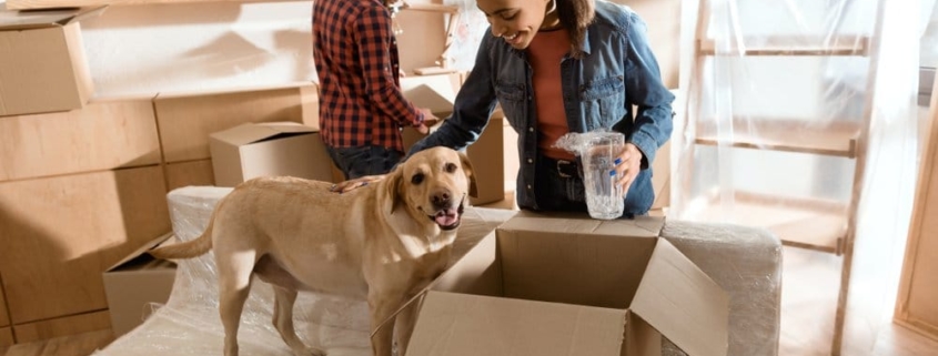 couple with moving boxes and their puppy