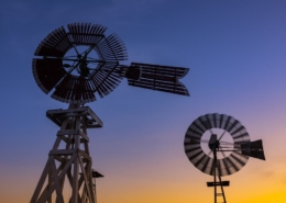 Wind Power and the Texas Grid in Summer 2020