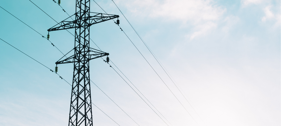 Learn about the companies and organizations who oversee the Texas electricity sector