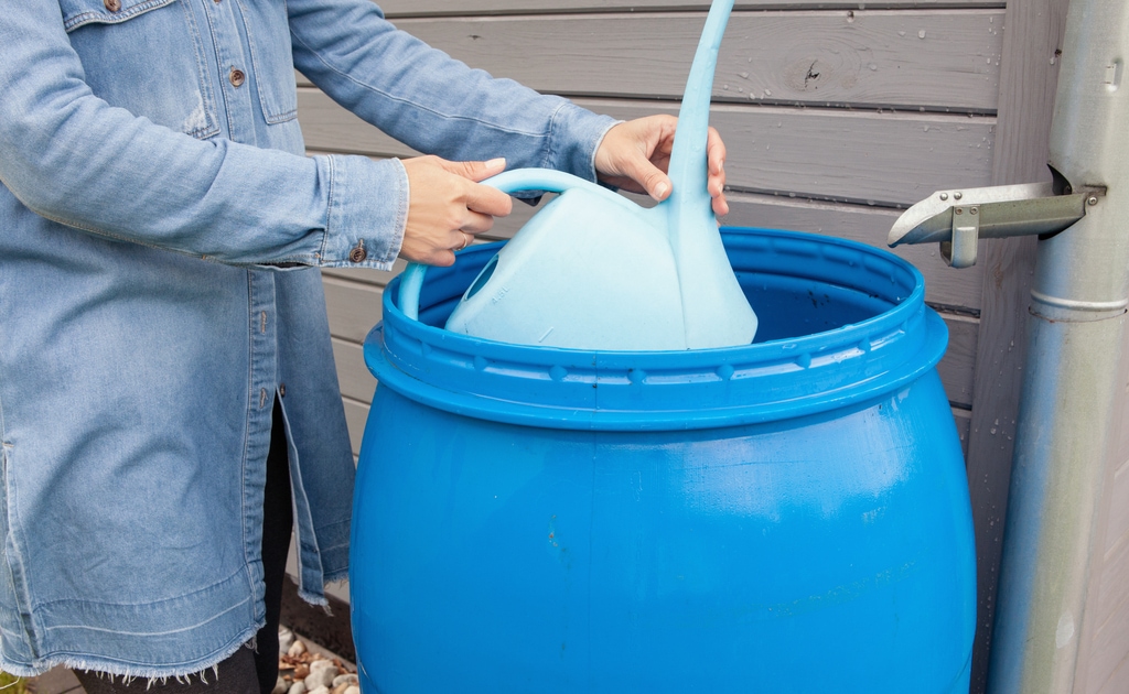 Rain harvesting at home